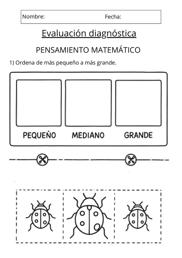 Evaluación diagnóstica NT1