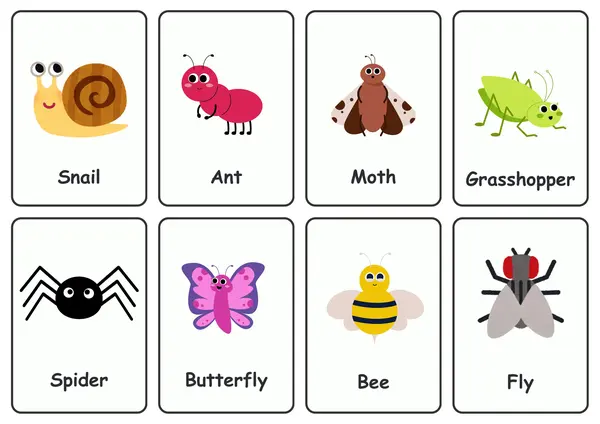 ✨ Flashcards bilingües de insectos (Español & English) ✨