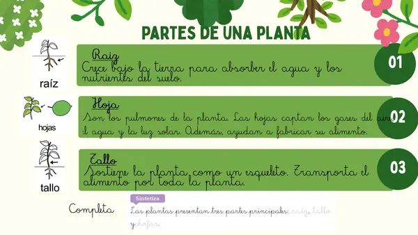 Plantas de la naturaleza