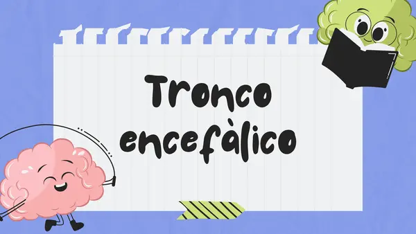 Tronco Encefálico