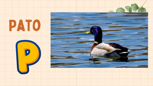 PPT letra P clase 1