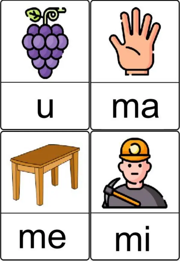Material Fotosilabico