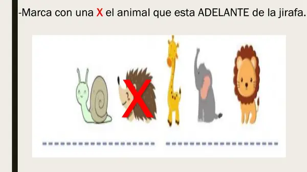 NOCIONES ESPACIALES: ADELANTE-ATRÁS