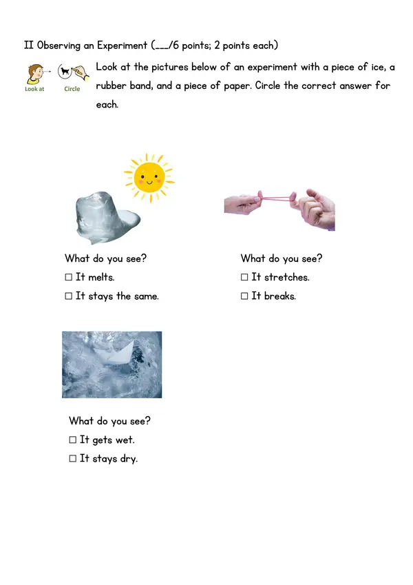 Changes in Materials When Force, Light, Heat, and Water Are Applied