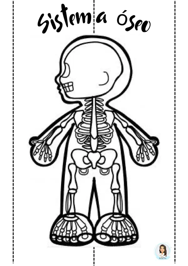 Sistemas del cuerpo humano