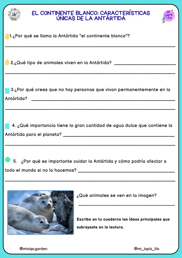 Curiosidades de Antártida (28 Textos Informativos)