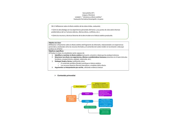 Guía práctica-Efecto Estético