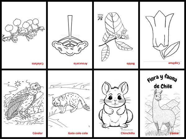 Mini libro flora y fauna
