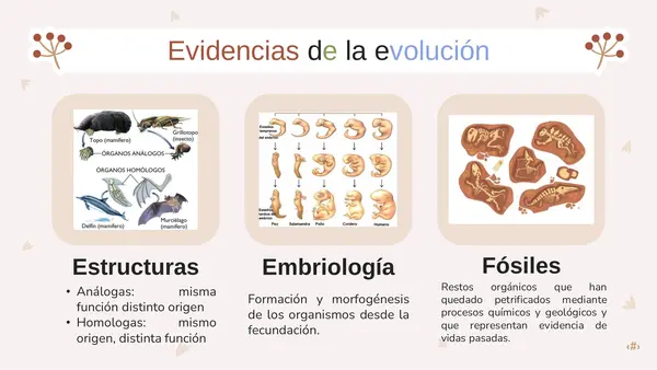 Presentación "Teorías evolutivas Darwin y Lamarck"
