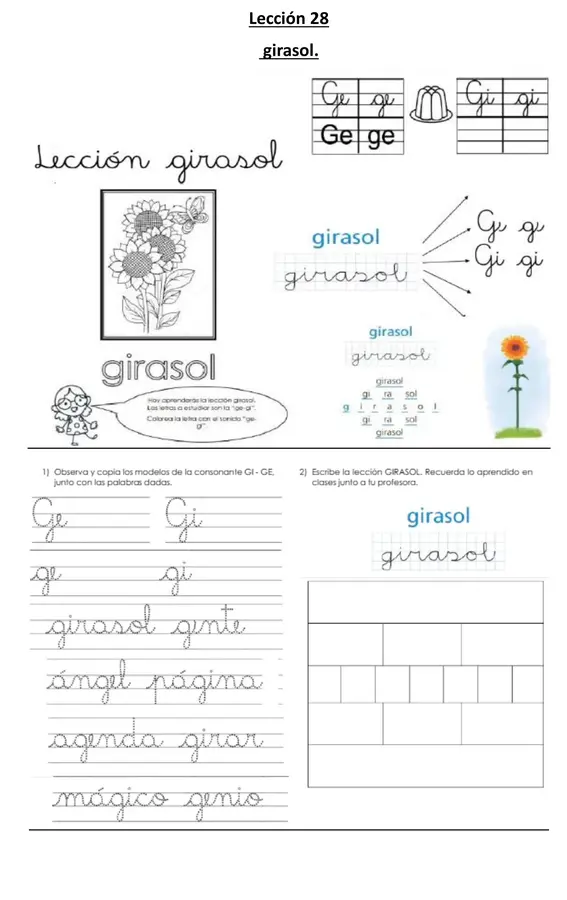 Lección girasol, Método Matte