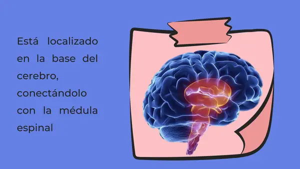 Tronco Encefálico