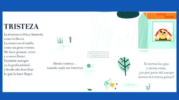 Reconociendo Emociones