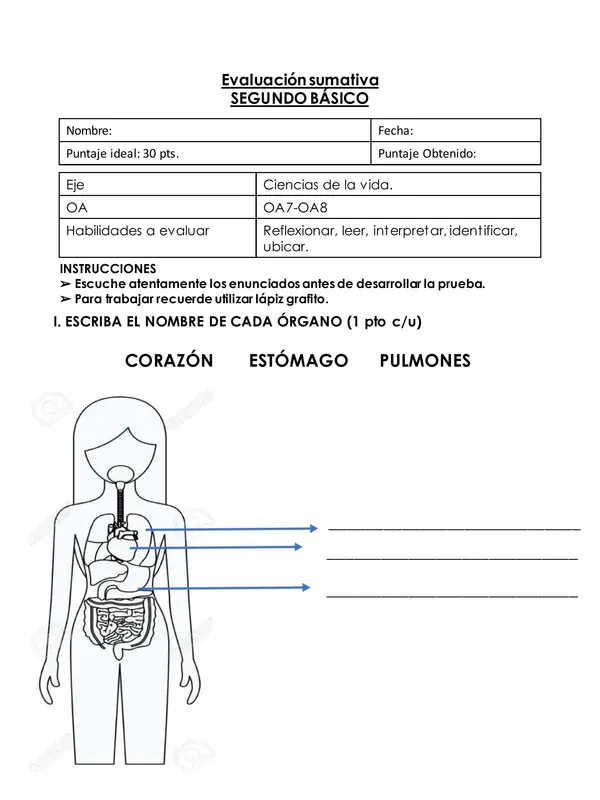 EVALUACIÓN CIENCIAS NATURALES SEGUNDO BÁSICA 