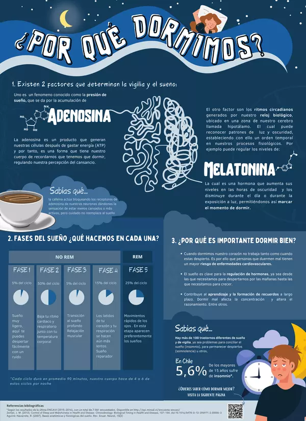 Afiche científico: ¿Por qué dormimos?