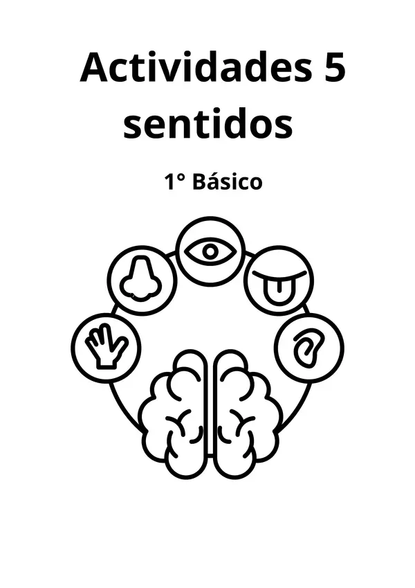 Los sentidos