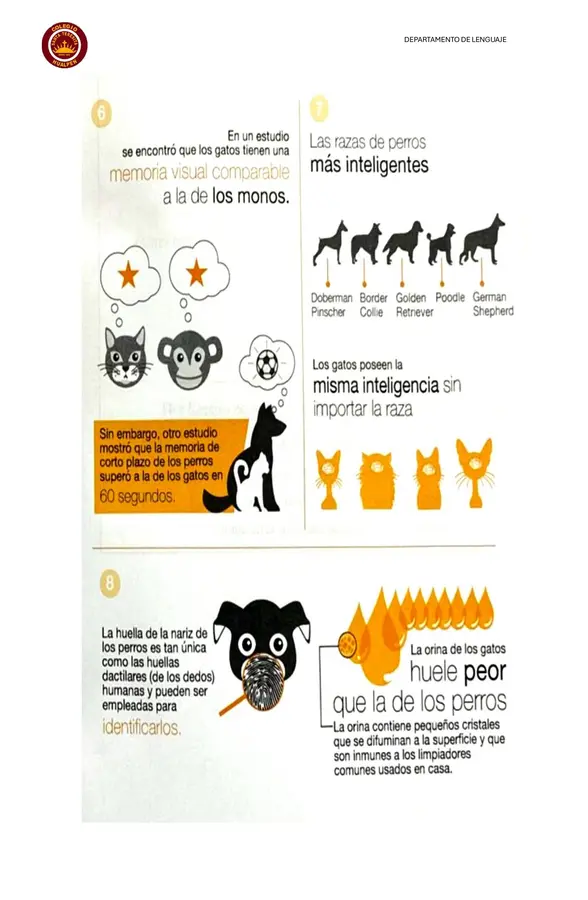 Guía de comprensión de 6° 