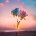 Norma Ivón Evaristo - @norma.ivon.evaristo