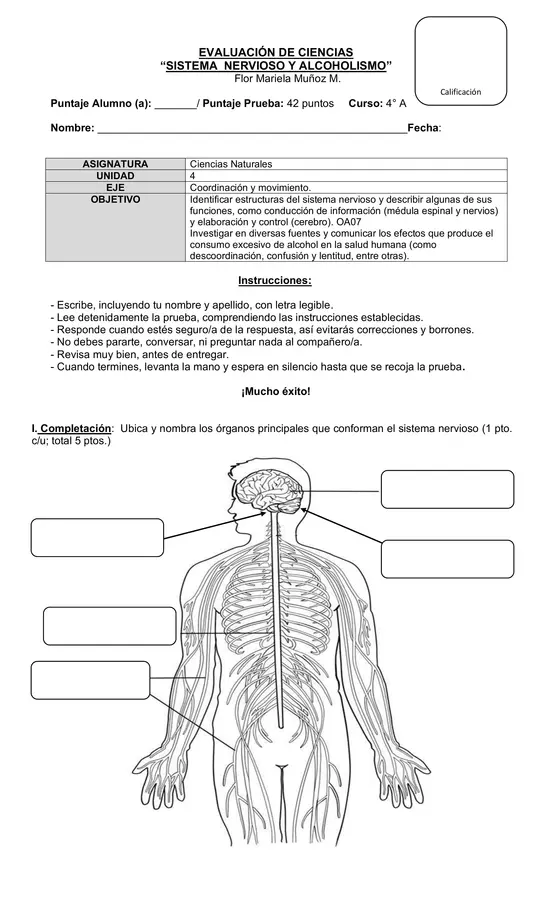 Evaluación 4°año "Sistema nervioso y Alcoholismo"