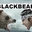 BLACKBEAR - @blackbear