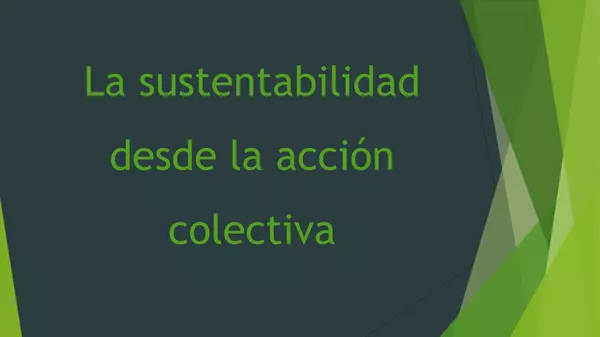 Presentación SUSTENTATBILIDAD ES DE LA ACCION COLECTIVA, Tercero Medio, Educacion Ciudadana