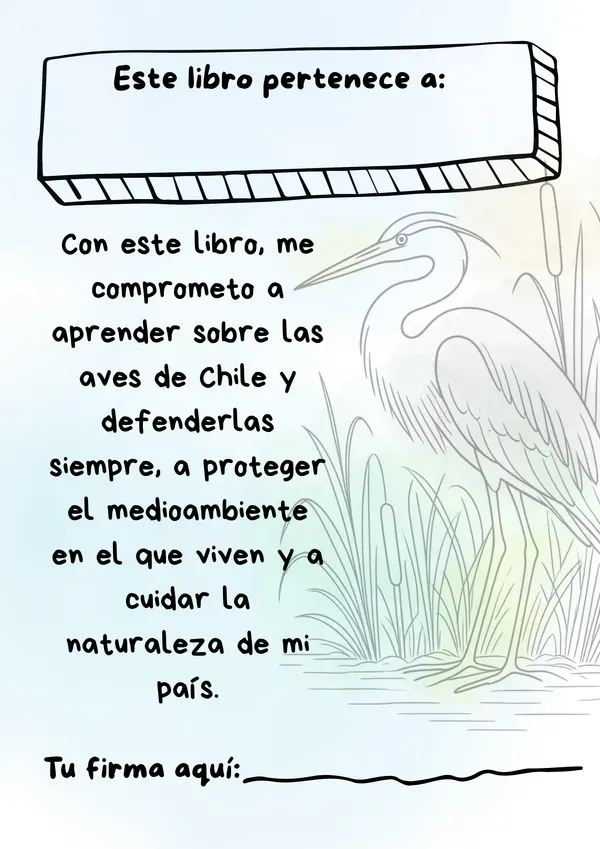 Ilustraciones coloreables Aves de Chile 