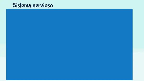 PPT EL SISTEMA NERVIOSO 