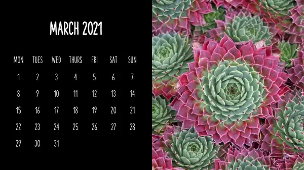 Monthly calendar with plants