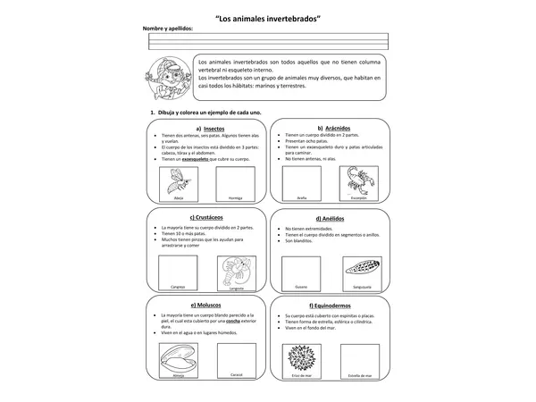 Animales invertebrados