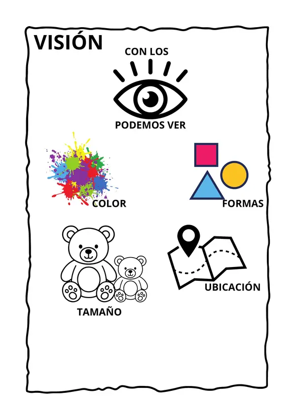 Los sentidos