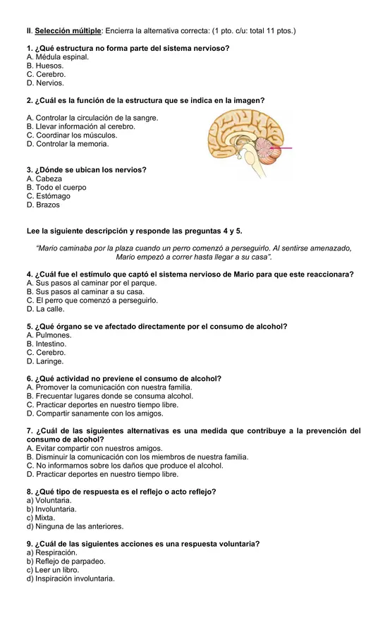 Evaluación 4°año "Sistema nervioso y Alcoholismo"