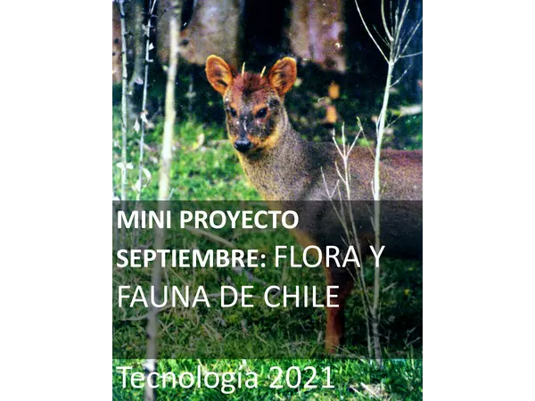 Mini proyecto septiembre: Flora y fauna de Chile