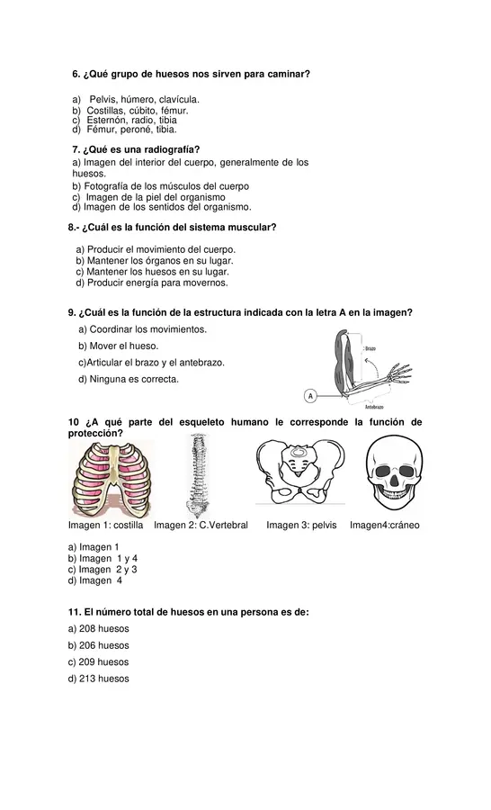 Prueba sistema locomotor