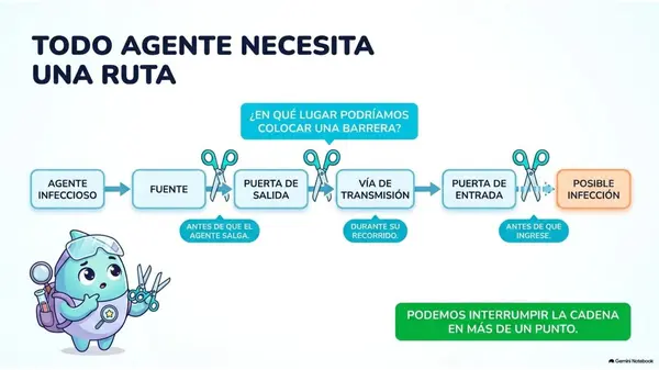 Clase 14 | 5° Básico Ciencias Naturales: Prevención e higiene — Cortar el contagio