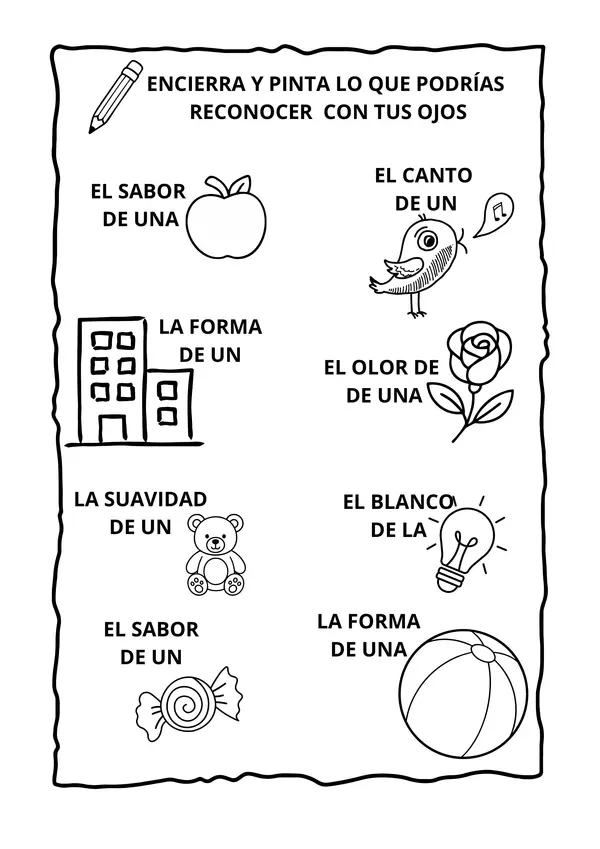 Los sentidos