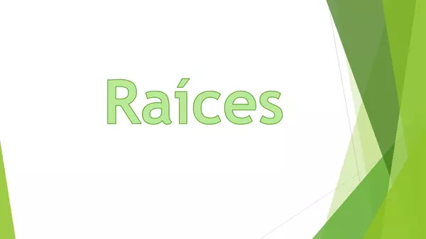 presentacion tipos de raices, ciencias , primero basico