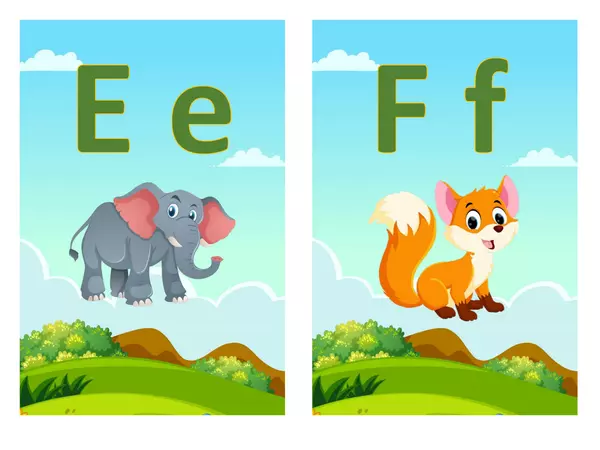 Alphabet Flashcards