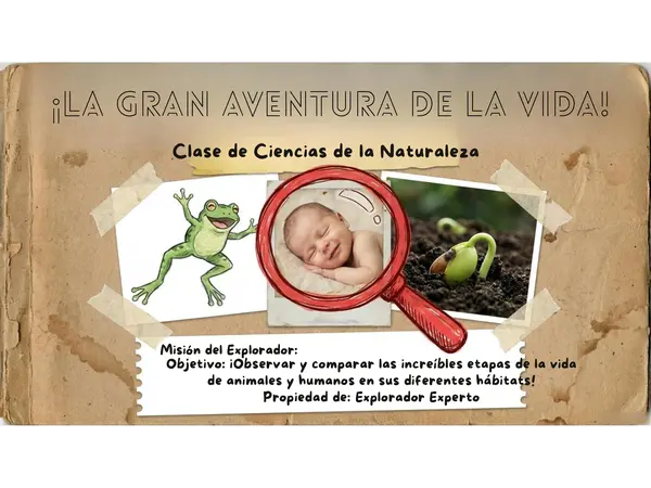 Presentación "el ciclo del vida Ciencias naturales segundo Básico