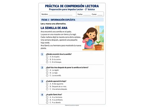Práctica de Comprensión Lectora