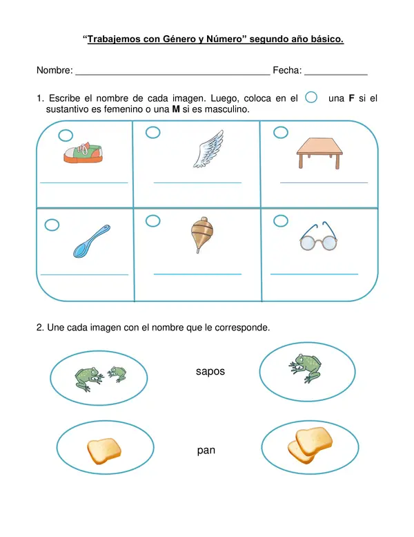 Guía "Género y Número" segundo año básico.