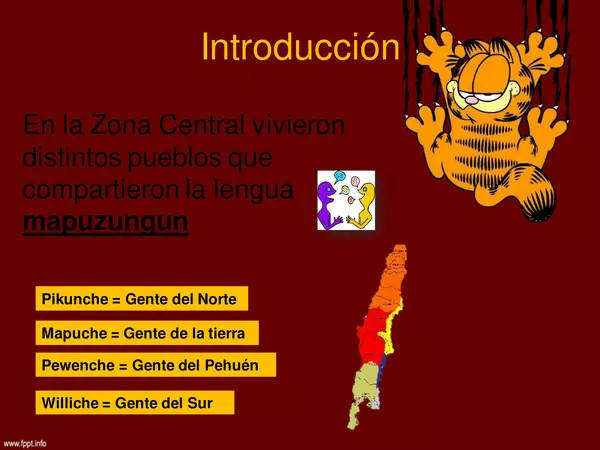 Pueblos Originarios "Zona Centro y Sur"