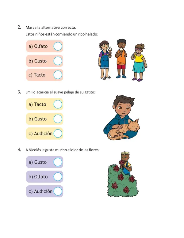 Los sentidos
