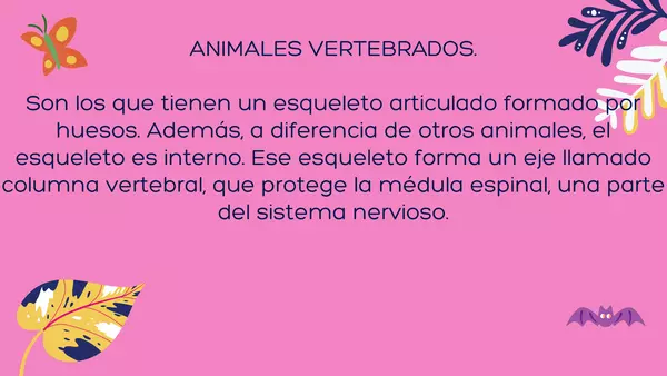 ANIMALES VERTEBRADOS, INVERTEBRADOS Y SU IMPORTANCIA