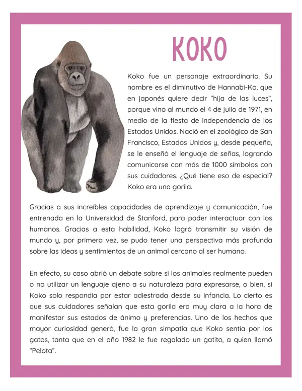 Comprensión lectora: Artículo informativo - Koko