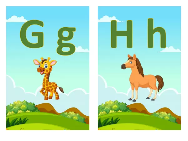 Alphabet Flashcards