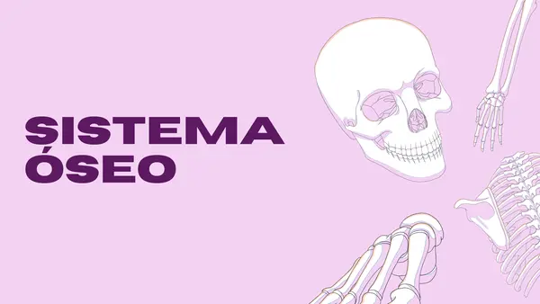 Sistema Oseo