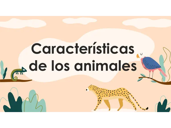 Características de los Animales