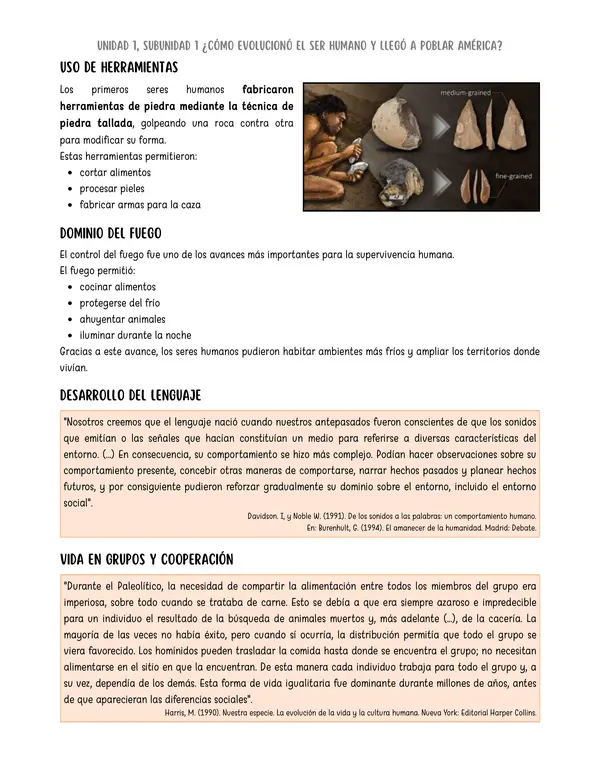 Cambios culturales en el paleolítico
