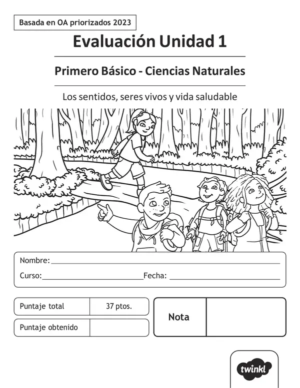 Los sentidos