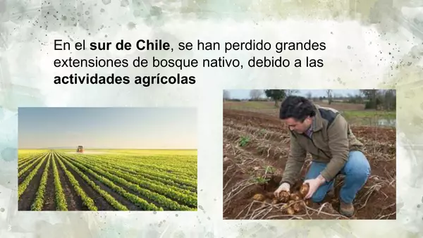 Daños en los ecosistemas en Chile