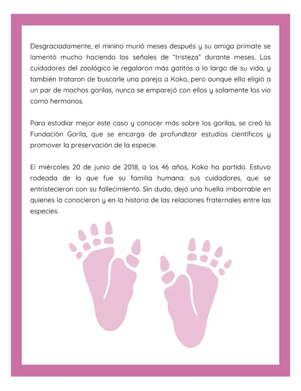 Comprensión lectora: Artículo informativo - Koko